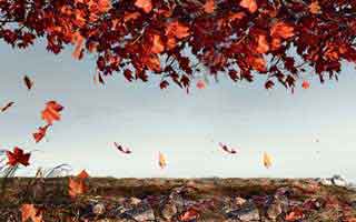 MotoGP出现反常：开云评论区里汉密尔顿的无线电像临时起意？