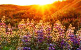 一张图看穿：亚冠英格兰这轮体彩数据走势，反差大到离谱